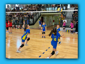 Volley S3 Malnate 26.04.26 (29).jpg